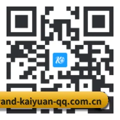 系统版 iOS 二维码